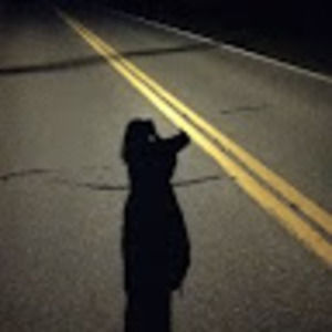 Meet your Posher, Ellie